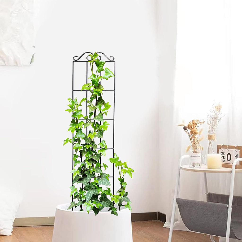 HASTHIP Metal Garden Trellis for Climbing Plants HASTHIP Metal Garden Trellis for Climbing Plants